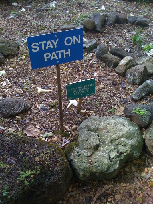 Your Path